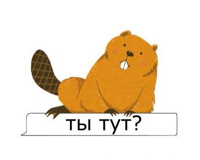 21 сообщение, которое выведет из себя любого