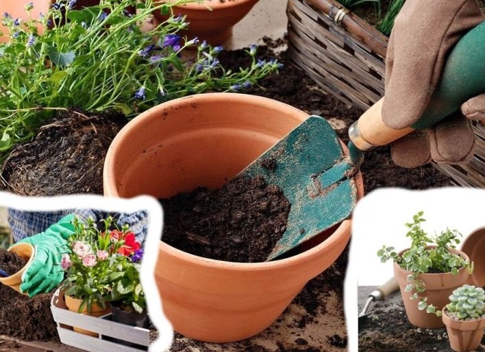 5 оригинальных и бюджетных идей для предложения руки и сердца